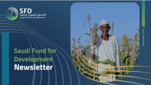 SFD English Newsletters December 2024