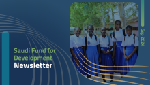 SFD English Newsletters September 2024