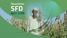 SFD English Newsletter June 2025